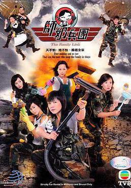 师奶兵团