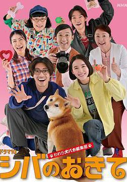 柴犬的规矩～我们这群狗痴编辑部～