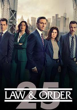 法律与秩序 第二十五季