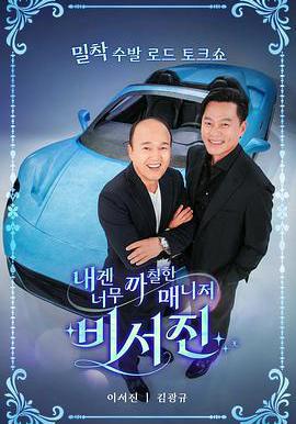 对我来说太刻薄的经纪人 - 秘书镇