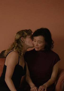 蒙特利尔，我的美人