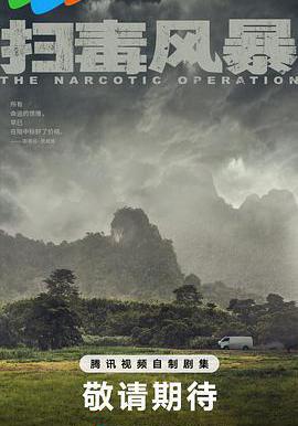 扫毒风暴