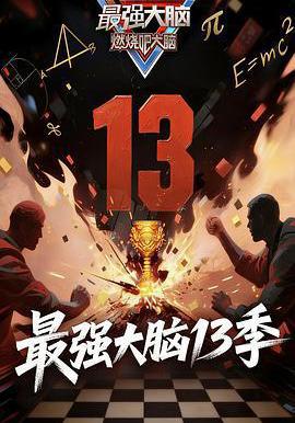 最强大脑 第十三季