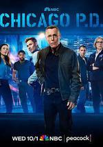 芝加哥警署 第十三季